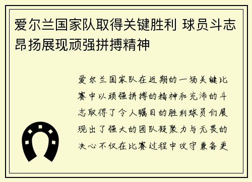 爱尔兰国家队取得关键胜利 球员斗志昂扬展现顽强拼搏精神